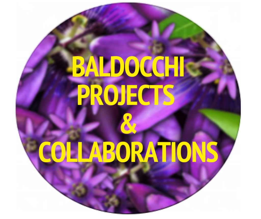 Baldocchi Projects Collaboration Logo