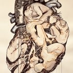 Adrian-Arias-My-heart-full-of-bodies