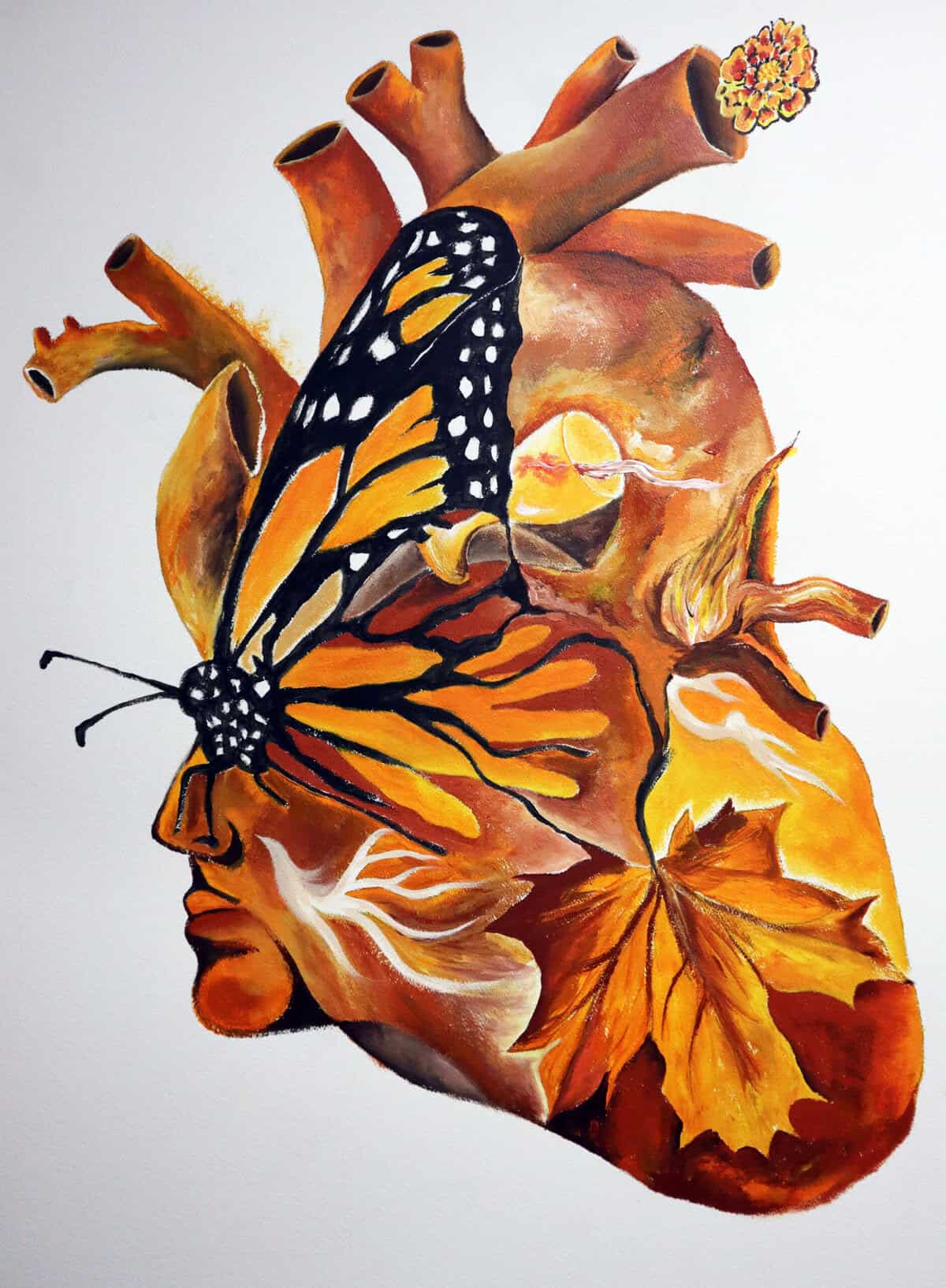 Corazon Orange scaled