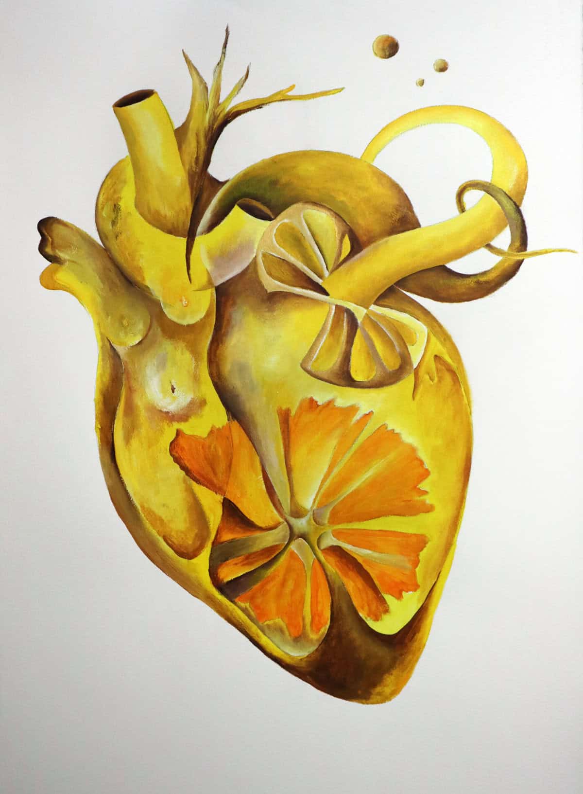 Corazon Yellow scaled